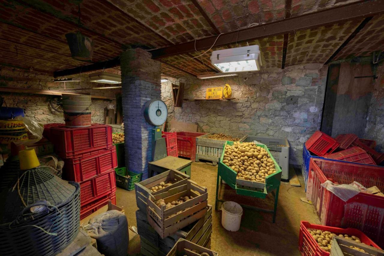 Podere Pratizzoli Tole Exterior foto